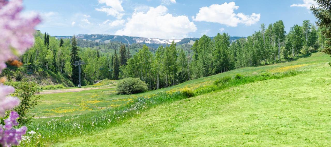 Laurelwood Condominiums 401 Snowmass Village Zewnętrze zdjęcie